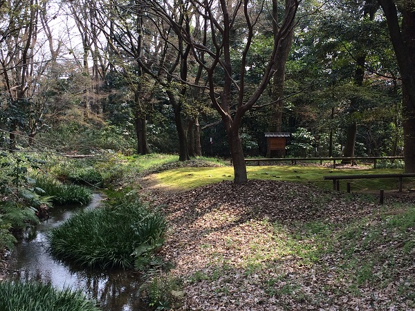 下鴨神社・ならの小川とコケ