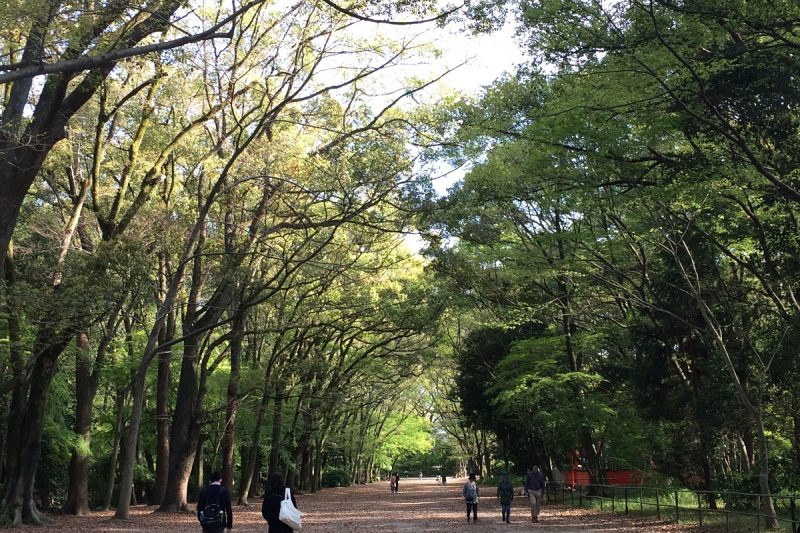 下鴨神社・糺の森