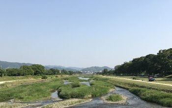 わたしの住む街