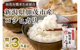 新潟県加茂市ふるさと納税返礼品　コシヒカリ