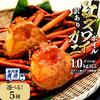 石川県金沢市ふるさと納税返礼品　紅ズワイガニ