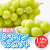 山梨県甲州市ふるさと納税返礼品　シャインマスカット