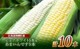 南幌町おすすめふるさと納税返礼品　スイートコーン