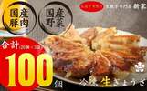 岐阜県大垣市ふるさと納税返礼品　餃子