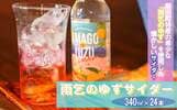 柴田町おすすめふるさと納税返礼品ゆずサイダー