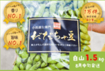 鶴岡市_だだちゃ豆