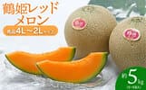 鶴岡市おすすめふるさと納税返礼品メロン