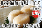 根室_ほたて