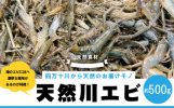 四万十市おすすめ返礼品 天然エビ