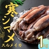 島根県海士町おすすめふるさと納税返礼品 スルメイカ