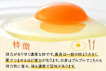 福井県あわら市おすすめふるさと納税返礼品＿たまご