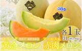 あわら市おすすめふるさと納税返礼品 メロン