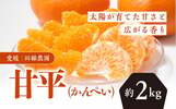 伊方町おすすめふるさと納税返礼品甘平