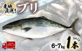 徳島県海陽町ふるさと納税返礼品 ブリ