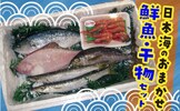 鳥取県琴浦町おすすめふるさと納税返礼品 干物の詰め合わせ