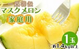 高知県香南市ふるさと納税返礼品 マスクメロン