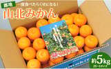 高知県香南市ふるさと納税返礼品 山北みかん