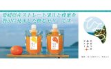 久万高原町　おすすめ返礼品 みかんゼリー