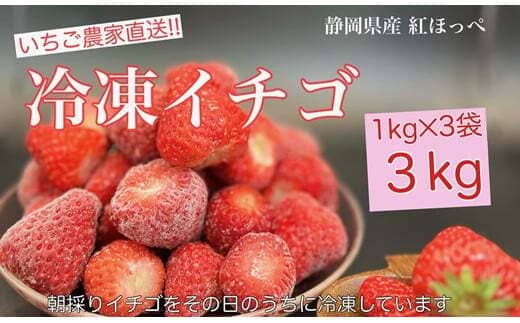 牧之原市おすすめふるさと納税返礼品冷凍いちご