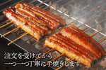 愛媛県大洲市ふるさと納税返礼品 うなぎ