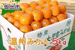 香川県坂出市のふるさと納税おすすめ返礼品_温州みかん