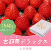 田原本町おすすめふるさと納税返礼品＿イチゴ