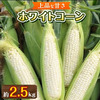 香川県高松市ふるさと納税返礼品 ホワイトコーン