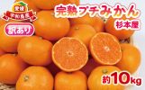 宇和島市おすすめふるさと納税返礼品未完