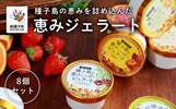 南種子町おすすめ返礼品（恵みジェラート8個セット）
