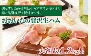 国東市おすすめふるさと納税返礼品 生ハム