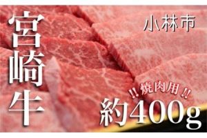 小林市おすすめ返礼品 宮崎牛