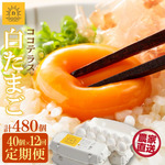 愛知県常滑市おすすめふるさと納税返礼品_たまご