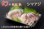 須崎市 おすすめふるさと納税返礼品＿シマアジ
