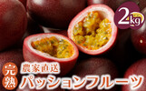 奄美市おすすめふるさと納税返礼品パッションフルーツ
