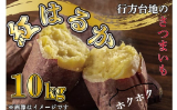 行方市 紅はるかサツマイモ