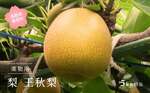 南部町おすすめふるさと納税返礼品_梨