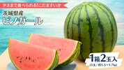 桜川市おすすめふるさと納税返礼品スイカ
