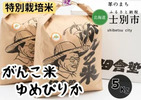 士別市おすすめふるさと納税返礼品ゆめぴりか