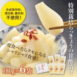 鳥取市おすすめふるさと納税返礼品_らっきょう