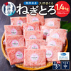 焼津市おすすめふるさと納税返礼品ねぎとろ
