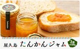 屋久島おすすめふるさと納税返礼品たんかんジャム