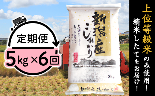 胎内市おすすめふるさと納税返礼品 コシヒカリ定期便