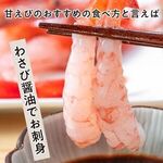 若狭町おすすめふるさと納税返礼品_甘えび