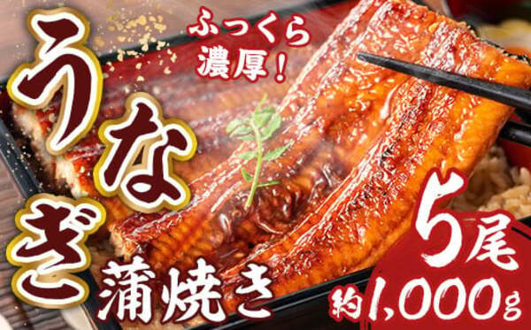 福岡県篠栗町おすすめふるさと納税返礼品 うなぎ