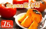 九度山町おすすめふるさと納税返礼品＿富有柿