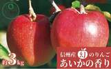 長野県箕輪町ふるさと納税返礼品　リンゴ