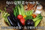 滋賀県亀岡市ふるさと納税返礼品 旬の京野菜セット
