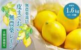 広島県尾道市おすすめふるさと納税返礼品 レモン