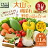 鳥取県大山町おすすめふるさと納税返礼品 新鮮野菜セット