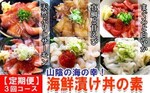 日吉津村おすすめふるさと納税返礼品_海鮮丼セット